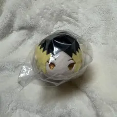 ハイキュー もちマス WA 和 孤爪研磨