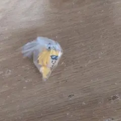 東海オンエア　マルチチャーム　しばゆーの