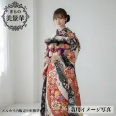 振袖セット 白地に赤黒 美品