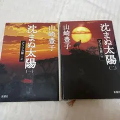 沈まぬ太陽 1・2
