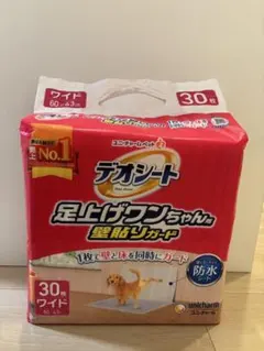 Item thumbnail for item 5b7ca650-89f2-42b0-8ab9-8fe79be0a30b