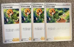 ポケモンカード　ナタネの活気