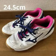 【美品】MIZUNO SKY BLASTER バドミントンシューズ 24.5cmのサムネイル