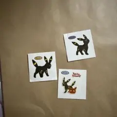 포켓몬 판실 블래키