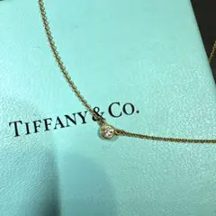 極美品✨ ティファニー ネックレス バイザヤード プラチナ 約0.08ct 