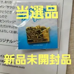 ケツメイシ　ケツロト　ピンバッジ　非売品　レア ケツメイシ ケツロト ピンバッジ 非売品 レア - メルカリ