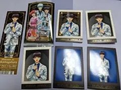 銀魂 ぱしゃこれ PREMIUM 箔押し 新八 アニメイトフェア 特典