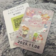 リゾートライン二次元コードおとな使用済フリーきっぷ１枚★シークレットスノー