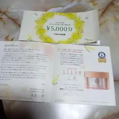 ポトス　新日本製薬　株主優待セット 新日本製薬 株主優待品 ポトス 新日本製薬 株主優待セット 新