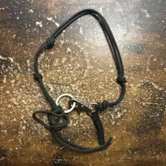 Item thumbnail for item 5b778ec7-de87-4ac4-b192-d6cce6488d29