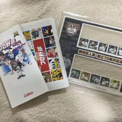 野球　カード　まとめ売り　野球チップス カルビー　読売巨人軍創立70周年記念