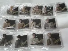 BOT アクリルチャーム　THERAMPAGE 13点セット