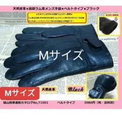 Item thumbnail for item 3f688c05-19f3-43e7-8cc9-e86a4d96bc46