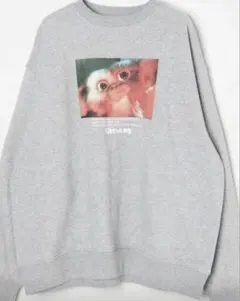 Item thumbnail for item 5703ea82-dca3-44a9-abb1-fc5ffb7e684e