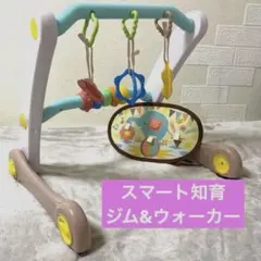 スマート知育ジム&ウォーカー折りたたみ式ベビージム手押し車