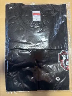 新品未開封☆東方神起☆ユンホ☆Tシャツ☆地面にヘディング☆ユノ