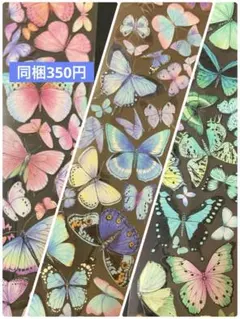 海外マステ PET 切り売り 6cm幅 蝶装飾　1ループ