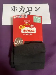 ホカロン ぽこぽこ 裏起毛 レッグウェア 10分 200デニール L〜LL