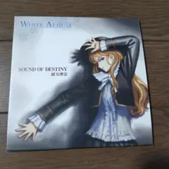 SOUND OF DESTINY