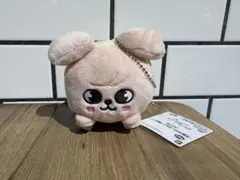 SKZOO GiGO くっつきぬいぐるみ パピム