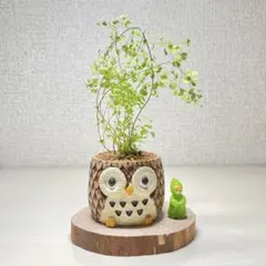 take様専用ページ