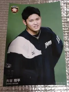 大谷翔平 2014 ハイライトフォト No.269 日本ハム 球団公式写真