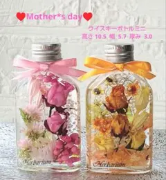 ハ―バリウム ＊ピンク&オレンジのバラ＊2本セット≪贈答ラッピング無料≫