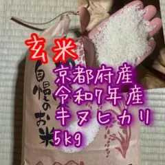 【 お米 玄米 】 京都府産 令和7年産 キヌヒカリ 5キロ 玄米のサムネイル