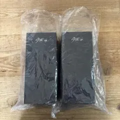 Stray Kids 公式LIGHT STICK VER.2 2本セット