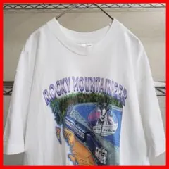 カナダ製ヴィンテージ　Tシャツ　シングルステッチ　スーベニア　フォトイラスト　L