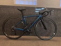⭐︎specialized allez フレーム ジャンク品⭐︎ S-Works Allez Frameset