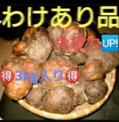 【夏バテ予防】丹波産山芋ワケアリ3キロ‼️令和7年11月収穫　とろろのサムネイル