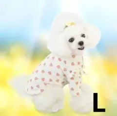 Item thumbnail for item 8bcc11c6-7e4d-492e-864a-b6692d2eca4e