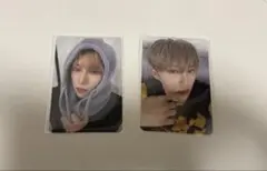 ALD1 アルノトレカ2枚セット