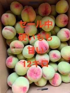 大玉 山梨県産黄金桃3kg✖️2箱 - メルカリ