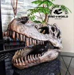 【DINOWORLD】ティラノサウルス 頭骨 化石 ジュラシックパーク