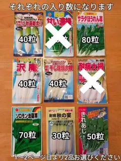 massa mizu様 リクエスト 2点 まとめ商品