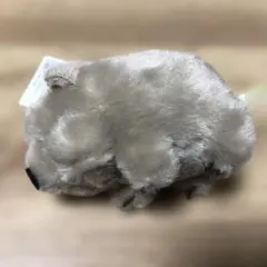 ずんぐりウォンピー