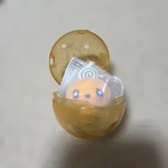 カプセルフロッキーズ　めめっち