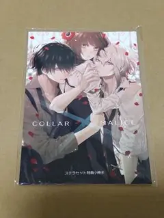 2026年最新】collar×malice 小冊子の人気アイテム - メルカリ