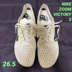 Item thumbnail for item 8899961c-5199-4e0d-9b99-76bcc4f2a8f5