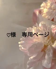 専用ページ