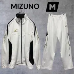 Item thumbnail for item a69ff3dd-04d1-4c63-95b0-a1b128214273