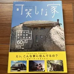 可笑しな家 : 世界中の奇妙な家・ふしぎな家60軒