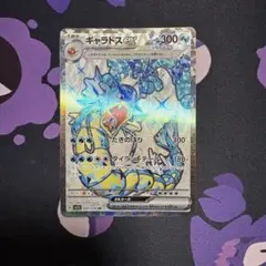 つっきー様 リクエスト 2点 まとめ商品