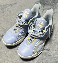 Item thumbnail for item fe8d389b-50e8-4306-bfc8-16a6689ec3e3