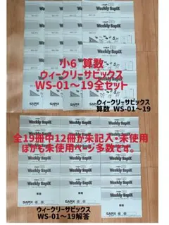 SAPIX 6年生 春期講習/GS特訓(女子学院・豊島)2025年版 SAPIX 6年生 社会一式 女子学院 豊島コースセット おまけあ - メルカリ