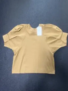 ユナイテッドアローズ　ベージュ 半袖Tシャツ（タグ付き）のサムネイル