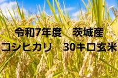 令和7年産 淡路島産コシヒカリ 30kg 精米済 - メルカリ