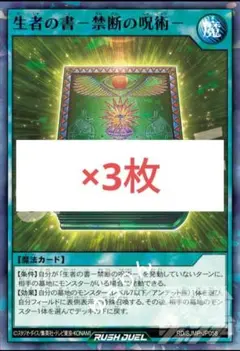 天使様 リクエスト 2点 まとめ商品